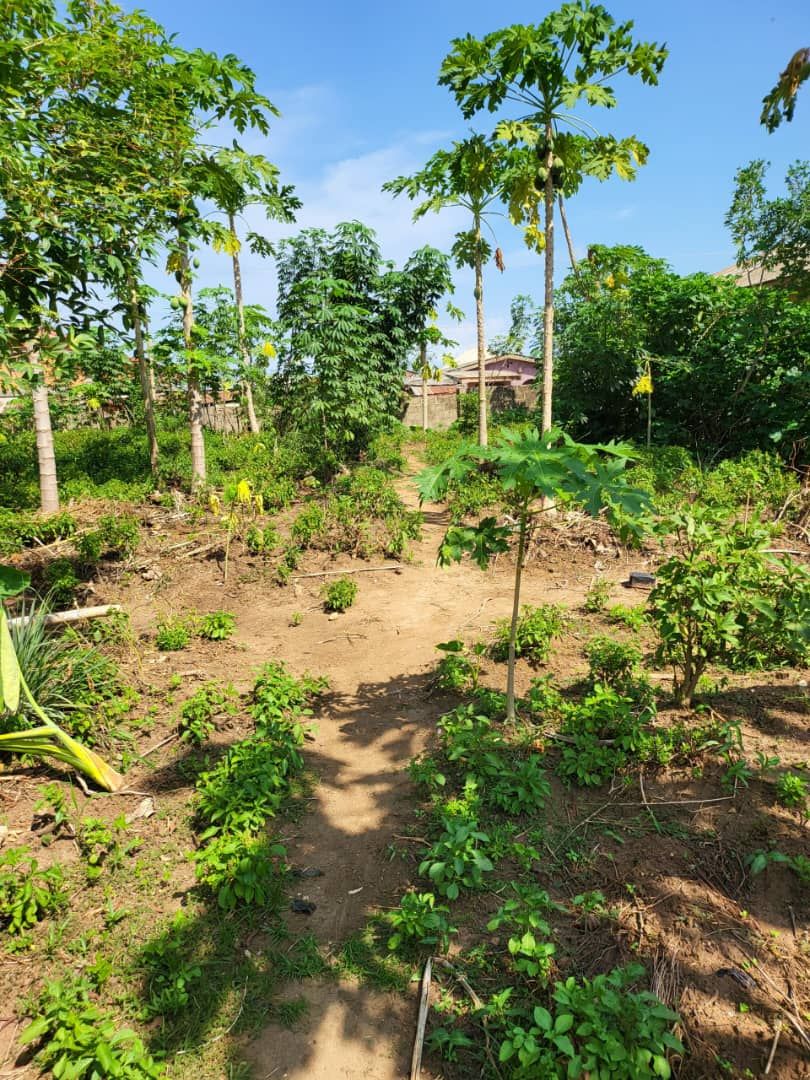 Land For Sale in Abaranje, Ikotun, Lagos — ₦85,000,000 | GidiStay — 1 bed land in Abaranje, Ikotun, Lagos (main view)