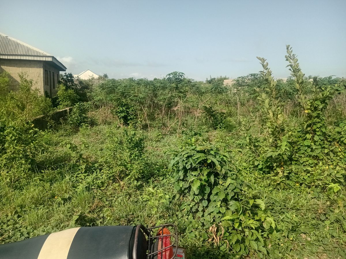 A plot of Land for sale measuring 60/120 — ₦3,000,000/year | GidiStay — 1 bed land in Okanran (bedroom view)