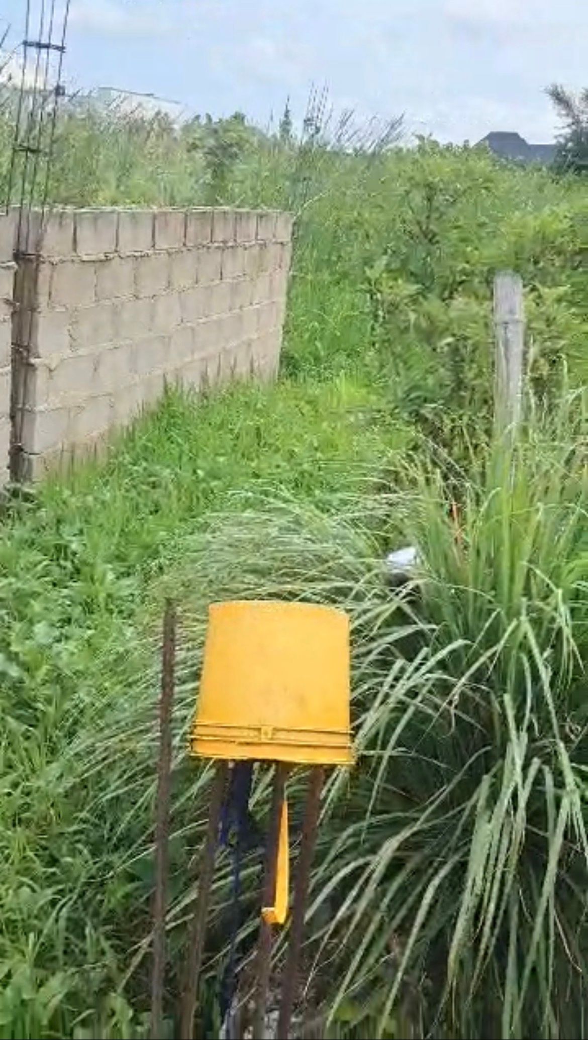 HOT DEAL:Prime 60x120ft Land Directly Along Lekki-Epe Expressway,Majek – ₦30M Net — ₦30,000,000 | GidiStay — 1 bed land in Lekki epe express way, Lagos (interior)