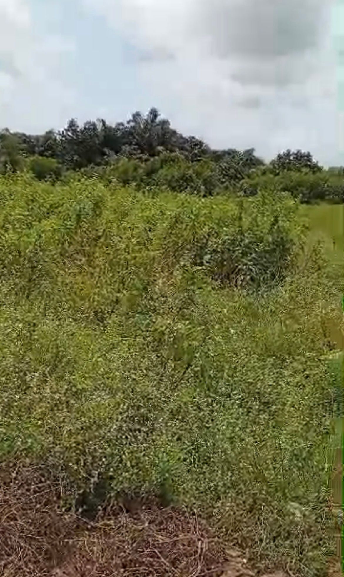 Prime 6 Plots of Dry Land for Sale at Gbetu, Awoyaya. — ₦25,000,000 | GidiStay — 1 bed land in  (main view)
