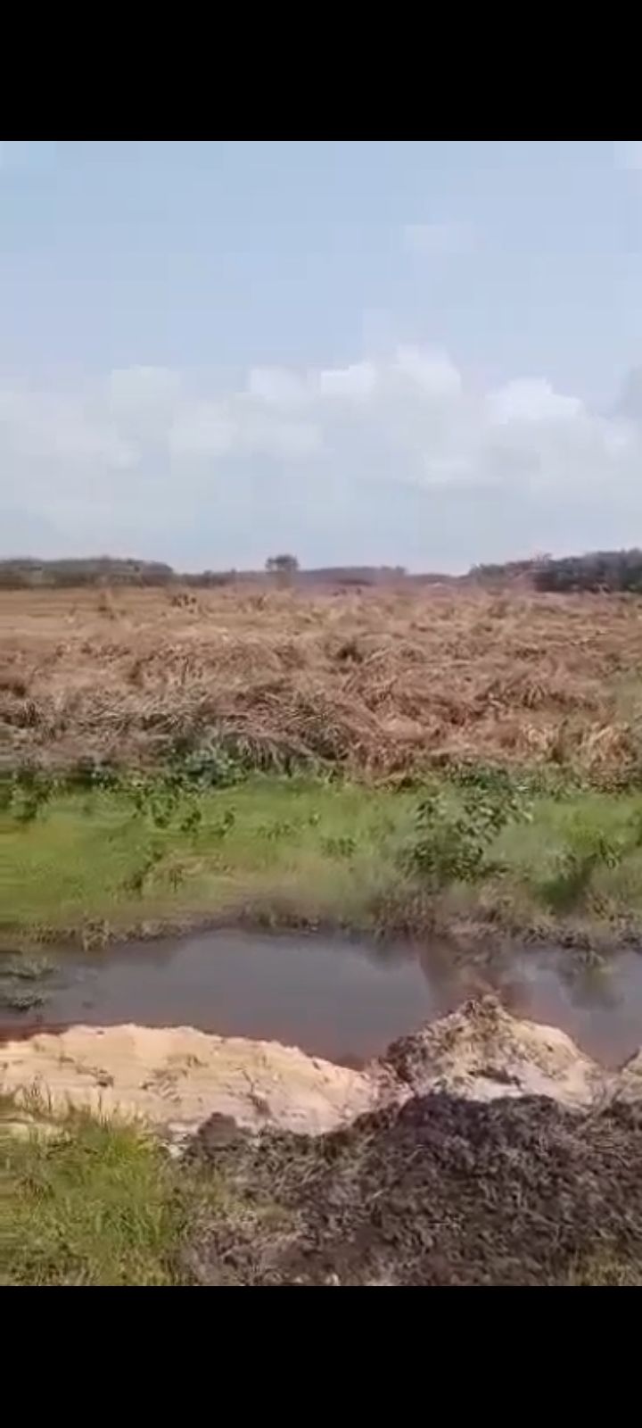 ➡️ 300plots OF LAND FOR SALE INSIDE AN ESTATE FACING THE COASTAL ROAD @DE BACK OF BEACH WOOD ESTATE For Sale. *LAND TITLE: C OF O* *LAND VALUE: ₦50M PLOT* — ₦50,000,000/year | GidiStay — 1 bed land in Ajah (additional view)