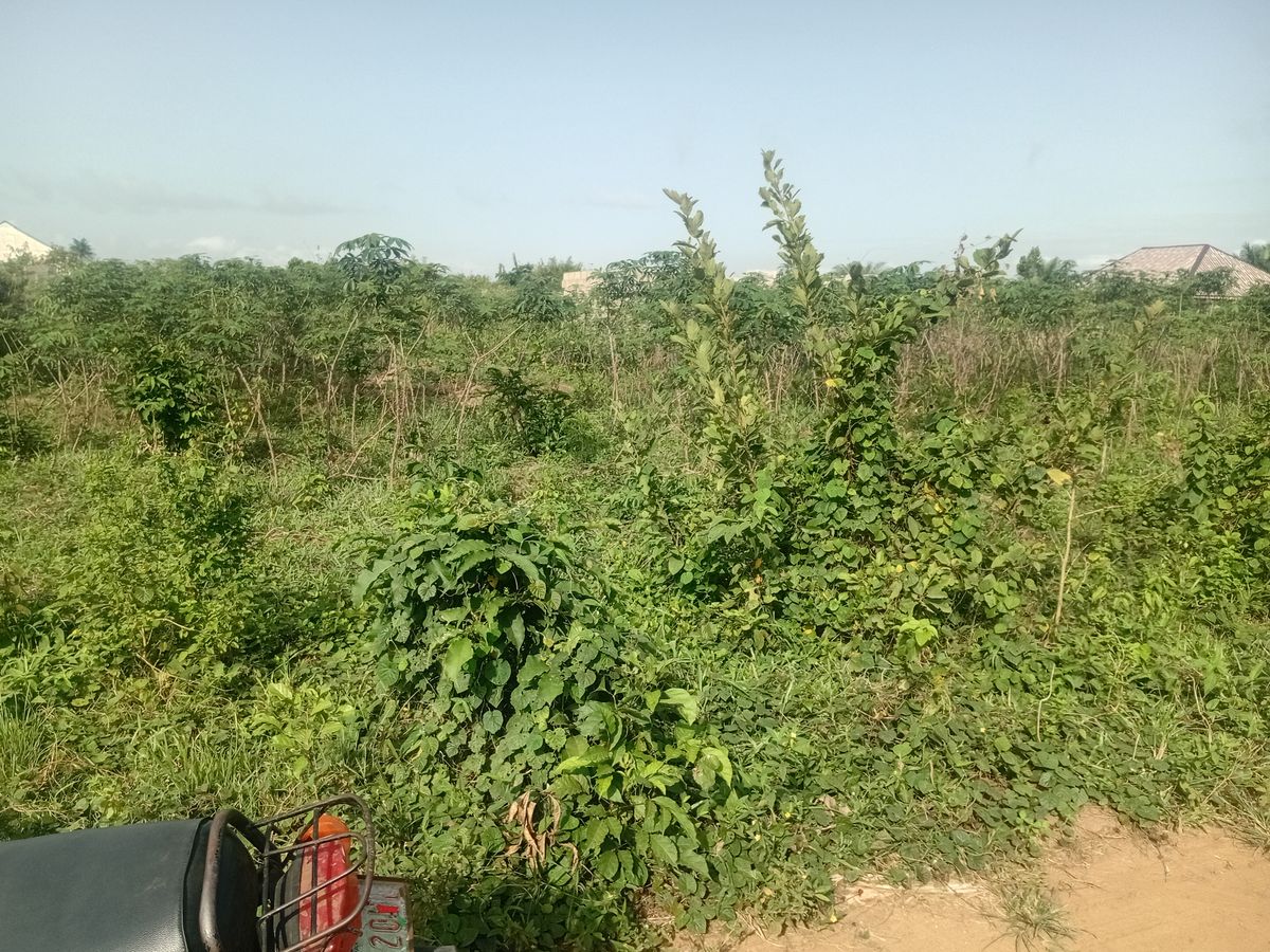 A plot of Land for sale measuring 60/120 — ₦3,000,000/year | GidiStay — 1 bed land in Okanran (main view)