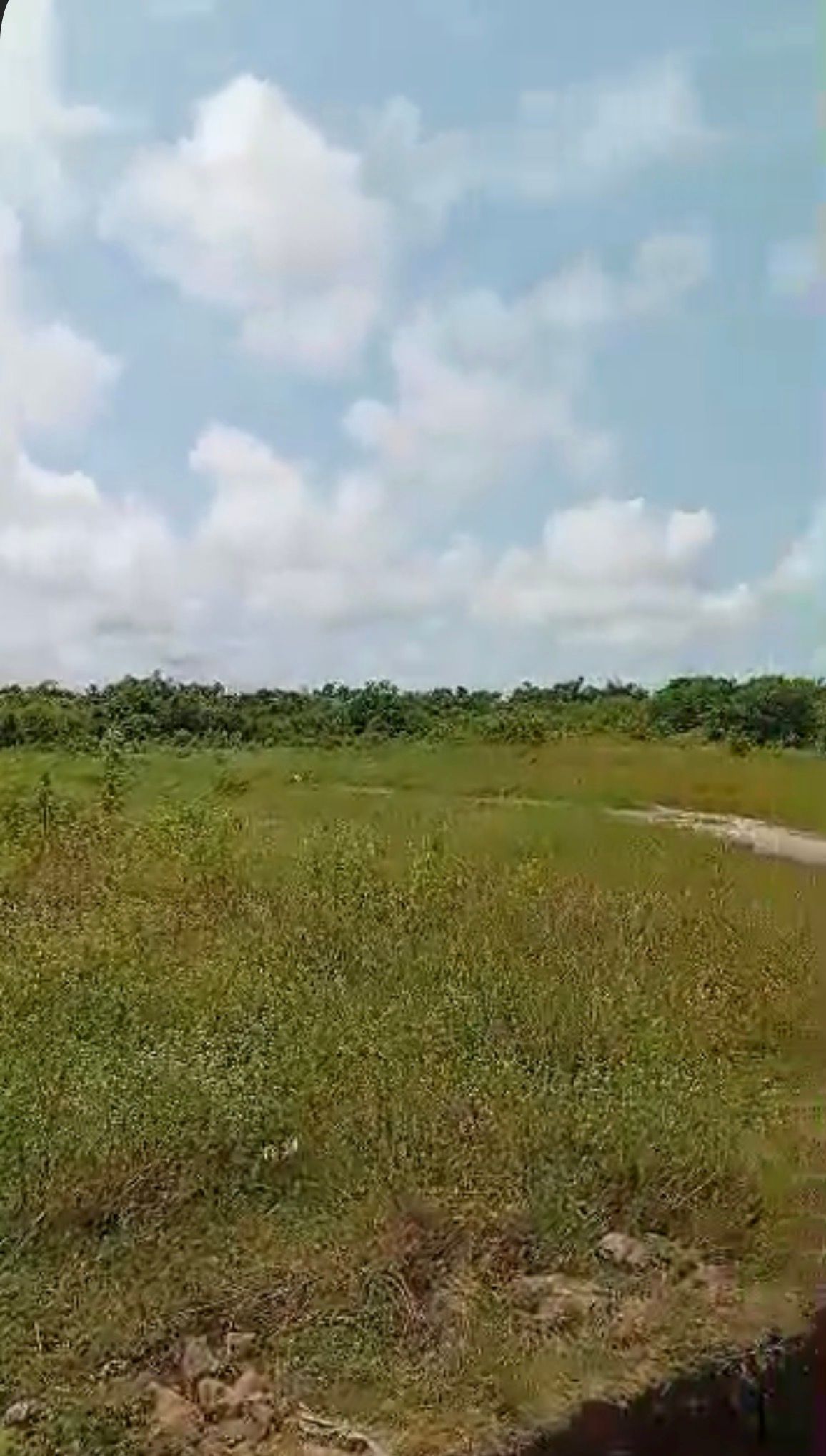Prime 6 Plots of Dry Land for Sale at Gbetu, Awoyaya. — ₦25,000,000 | GidiStay — 1 bed land in  (bedroom view)