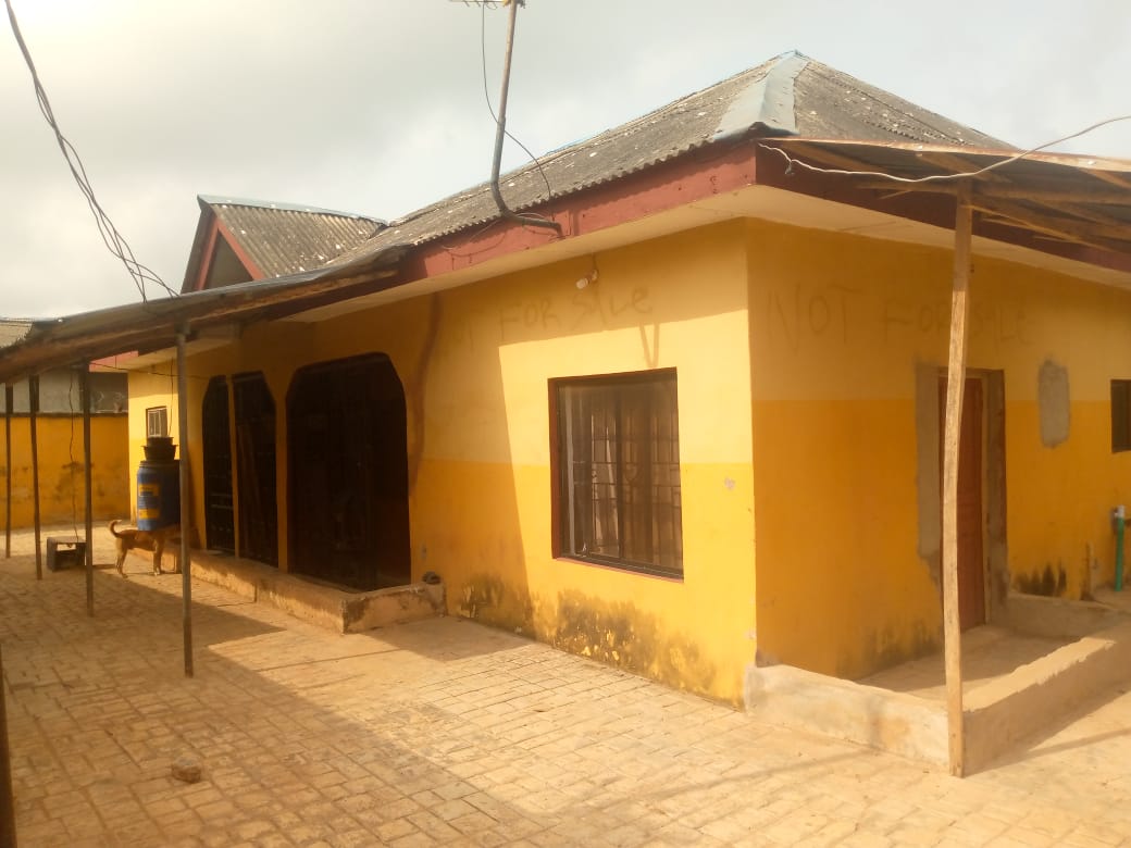 A solid bungalow of 3 block of flats for sale Comprises of 1 unit of 2 bedrooms flats with 1 unit of Mini flat , 1 unit of room self contain On more than half plot of land Fence Round with gate, floored compound in a Secured Environment. *Documents* : Receipt Survey and Deed of Assignment *Price* : #30m Slightly Negotiable *100% Closeabl* — ₦30,000,000 | GidiStay — 2 bed house in Akute, Lagos (main view)