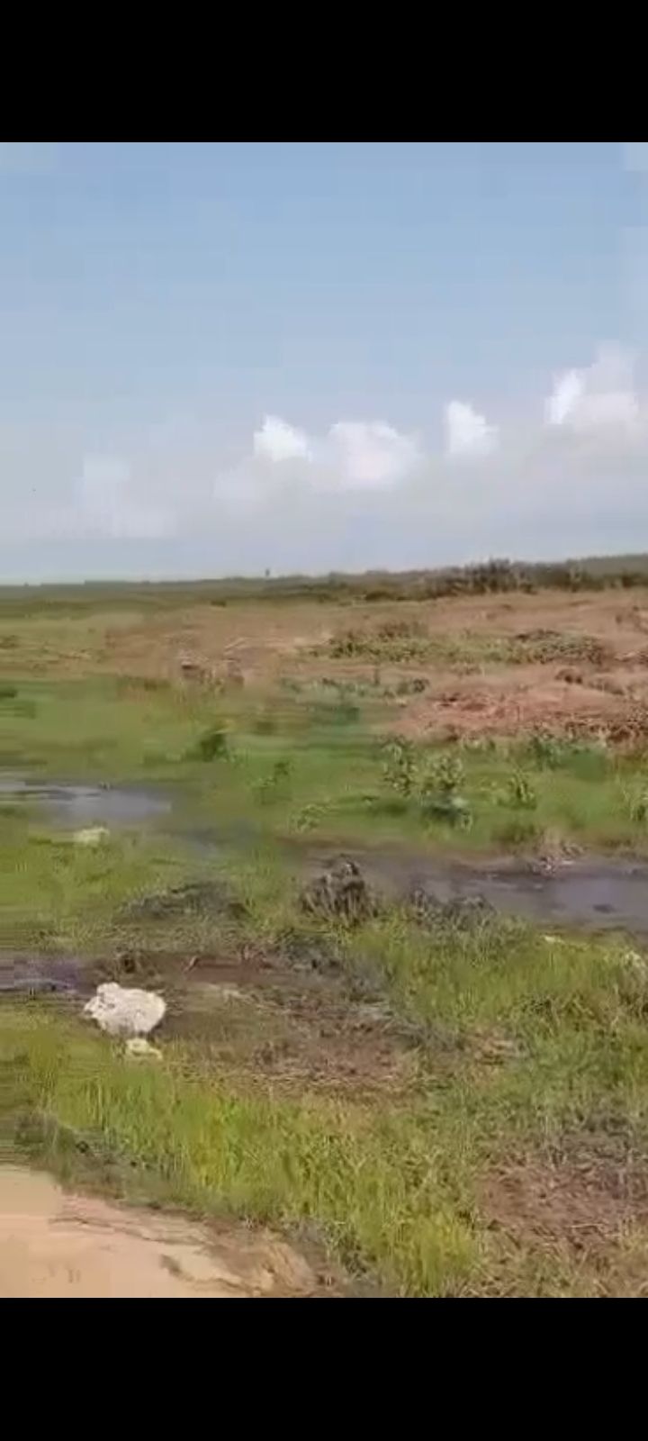 ➡️ 300plots OF LAND FOR SALE INSIDE AN ESTATE FACING THE COASTAL ROAD @DE BACK OF BEACH WOOD ESTATE For Sale. *LAND TITLE: C OF O* *LAND VALUE: ₦50M PLOT* — ₦50,000,000/year | GidiStay — 1 bed land in Ajah (bedroom view)