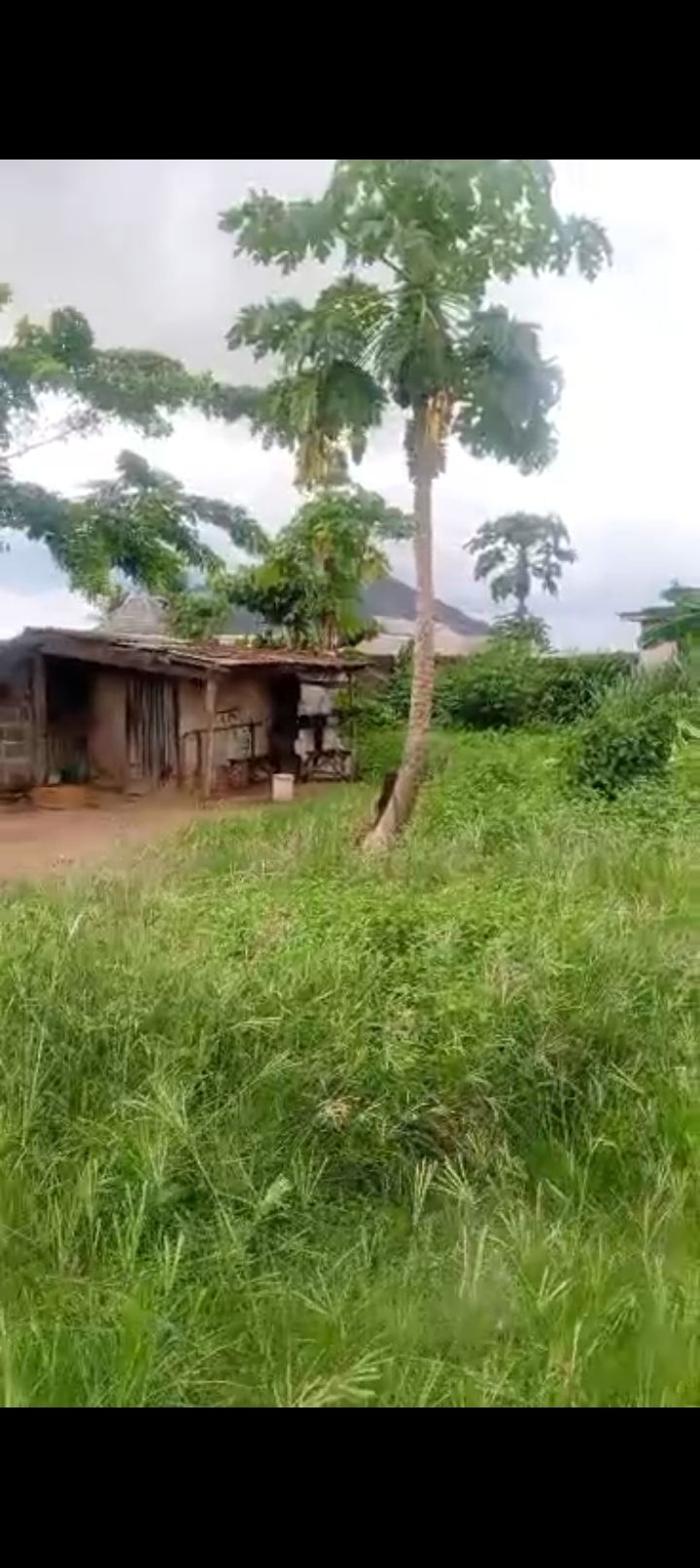 Prime Full Plot of Land (60ft × 120ft) for Sale Along Isefun Road, Ayobo, Lagos ⭐ — ₦45,000,000 | GidiStay — 1 bed land in Ayobo, Lagos (interior)