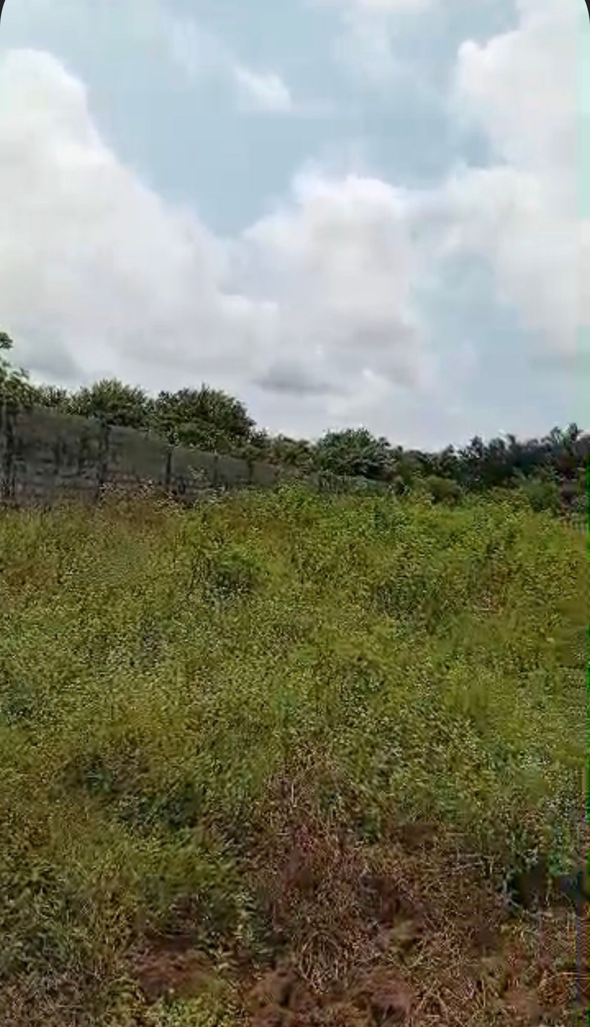 Prime 6 Plots of Dry Land for Sale at Gbetu, Awoyaya. — ₦25,000,000 | GidiStay — 1 bed land in  (interior)