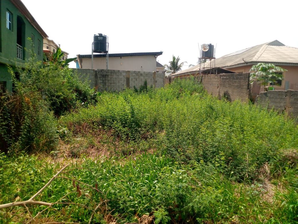 A standard half Plot of land for sale in Oke-Ira Ogba Lagos. *Features* : ✅ Good access road. ✅ Easy access to Excellent hotel Aguda bus stop Ogba. ✅ Surrounded by Modern houses. ✅ Serene and Secure Environment. ✅ Only 5 seconds drive to the Major Road. *Titles*: Receipt and Register Survey, Deed of Assignment. *Price* : 50m Slightly Negotiable. *100% Closable Deal* — ₦50,000,000 | GidiStay — 1 bed land in Ogba, Lagos (main view)
