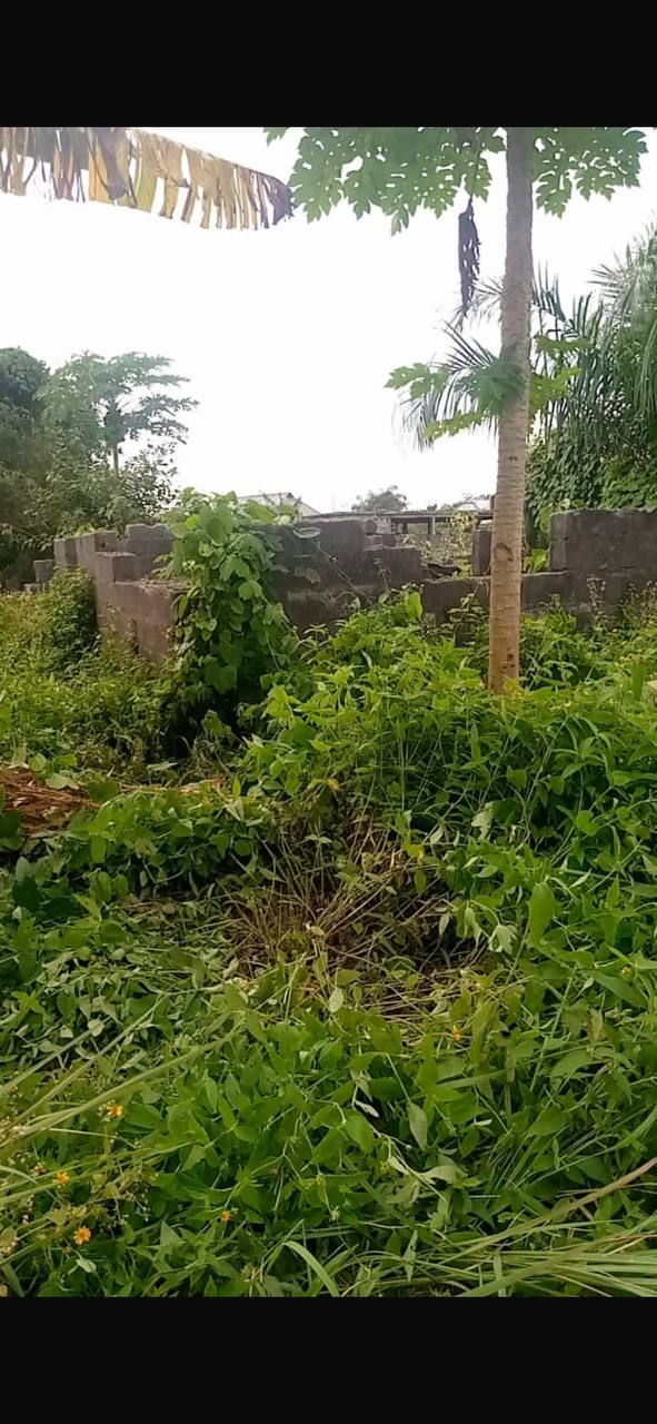 Land For Sale in Oko Afo Bus Stop Badagry Lagos — ₦5,500,000 | GidiStay — 1 bed land in Oko Afo Bus Stop Badagry Lagos (interior)