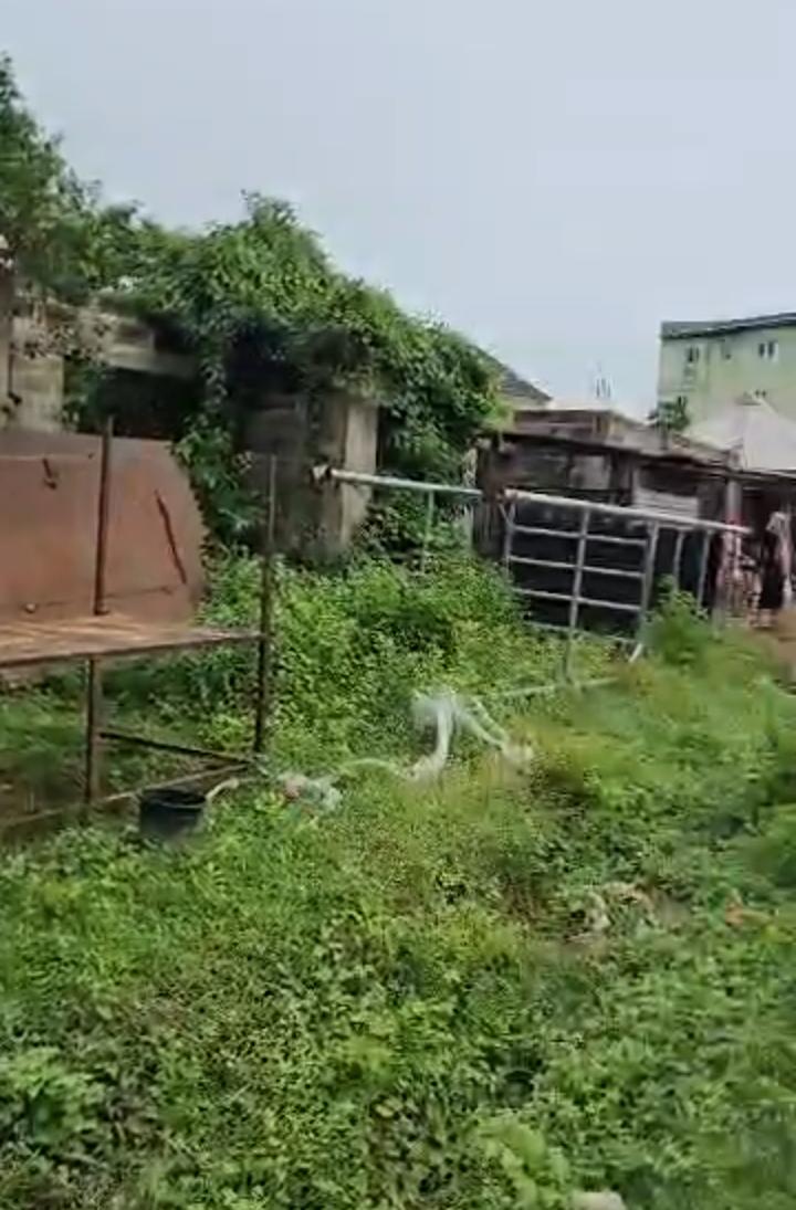 619sqm plot of land for sale at Akala express way Ibadan — ₦45,000,000 | GidiStay — 1 bed land in Off akala express, Ibadan (interior)