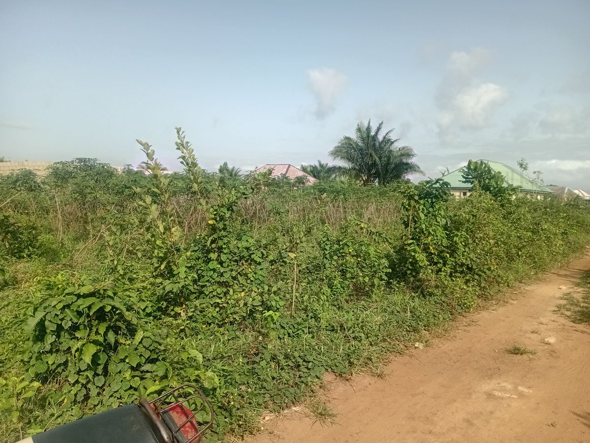 A plot of Land for sale measuring 60/120 — ₦3,000,000/year | GidiStay — 1 bed land in Okanran (interior)